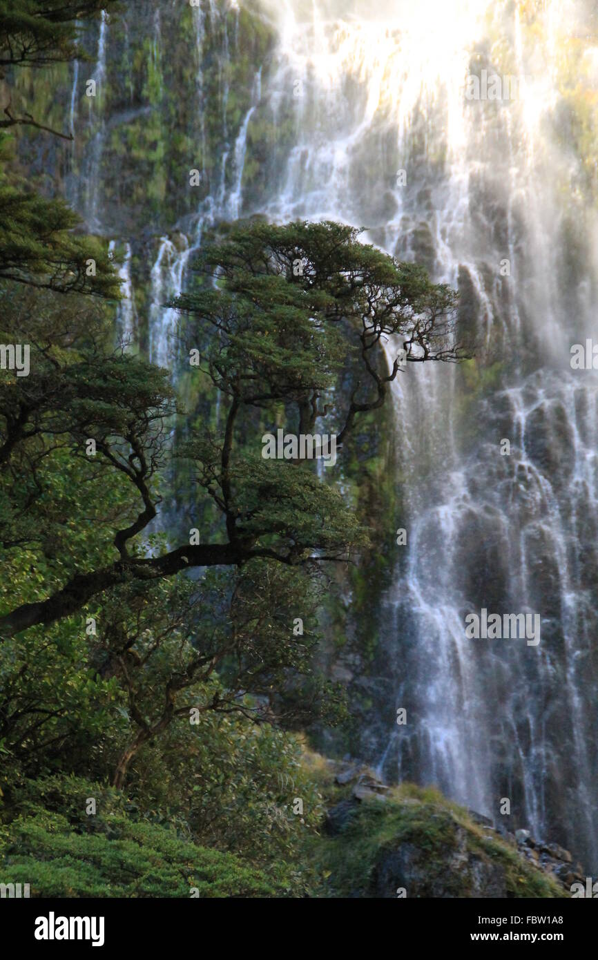 Punchbowl Falls, Arthurs Pass, Neuseeland Stockfoto