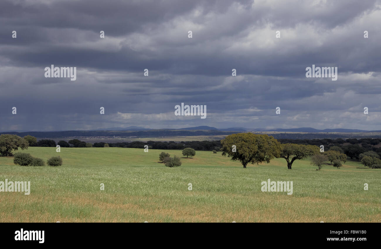 Landschaft in der Extremadura Stockfoto