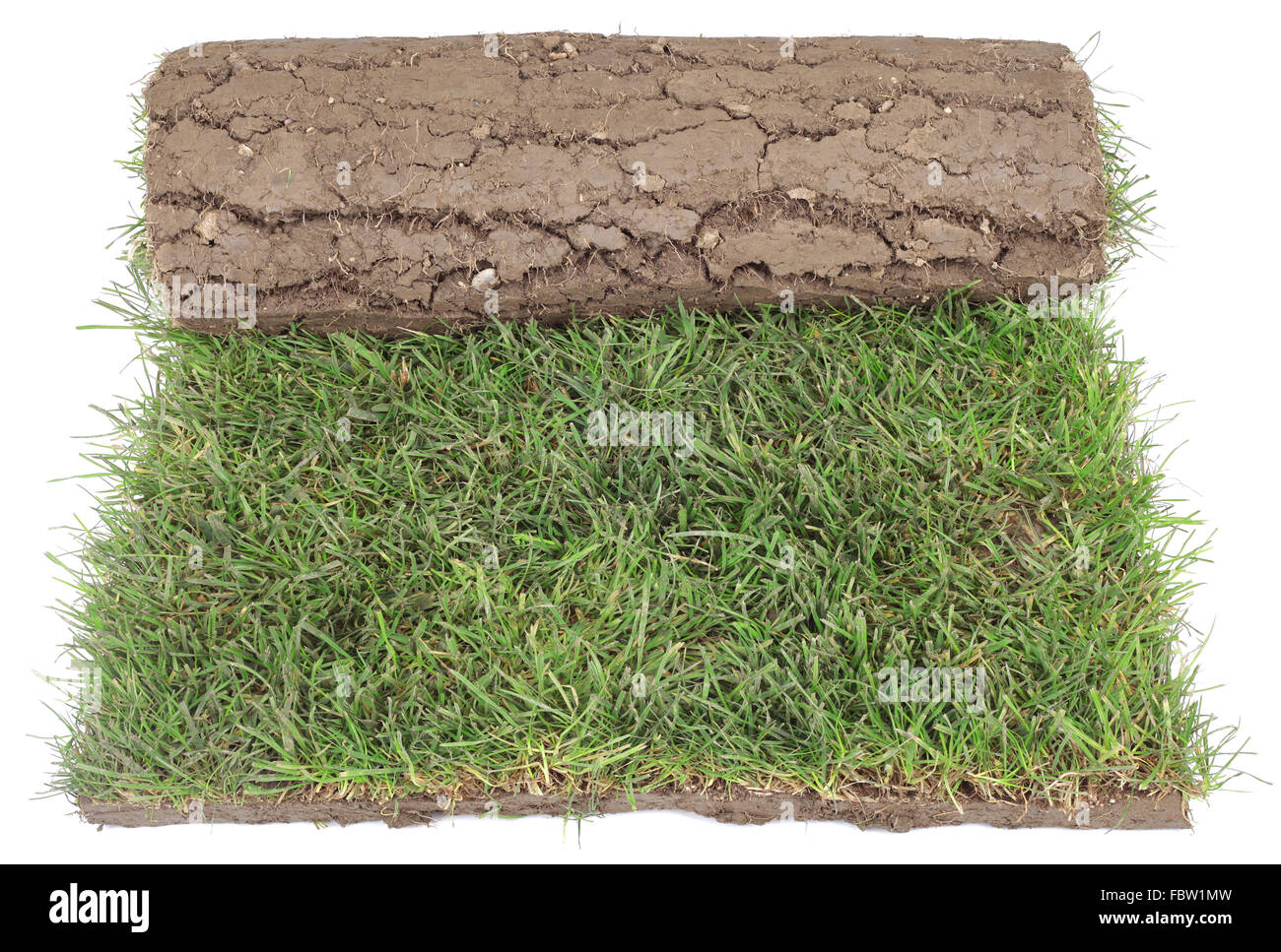 Grass Teppichrolle Ausschneiden Stockfoto