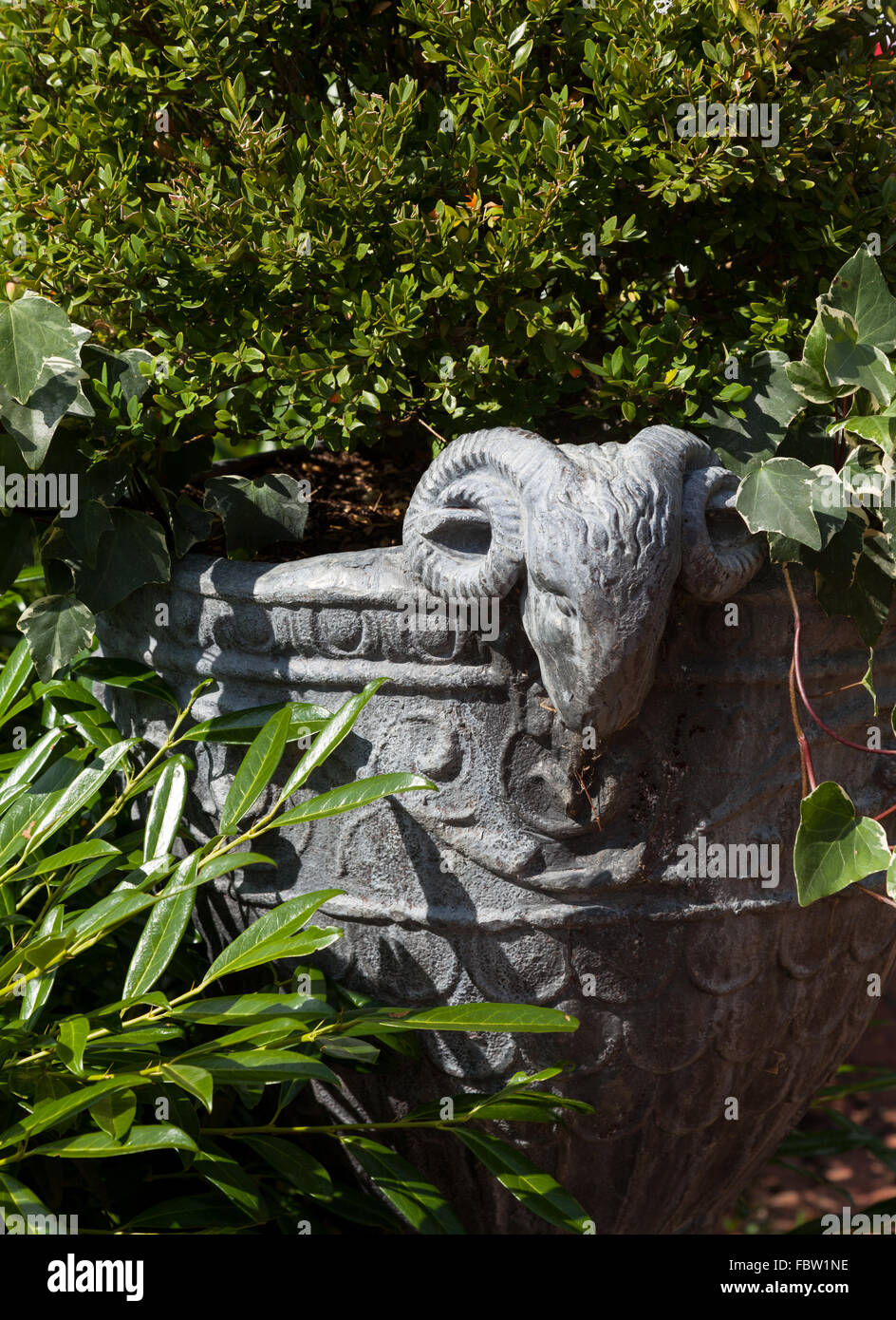 Großen Stein Urne mit Werken in englischer Garten Stockfoto