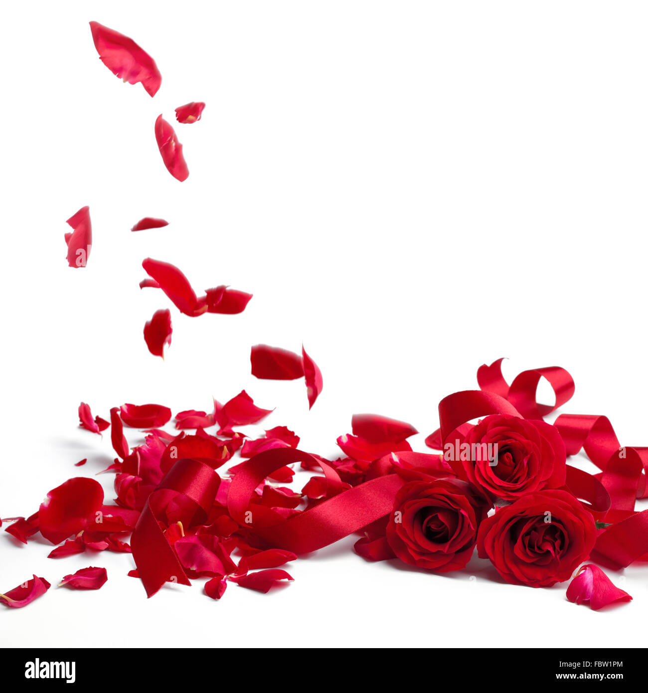 Rote Rosen und Rosenblätter auf weißem Hintergrund, Valentinstag-Konzept. Stockfoto