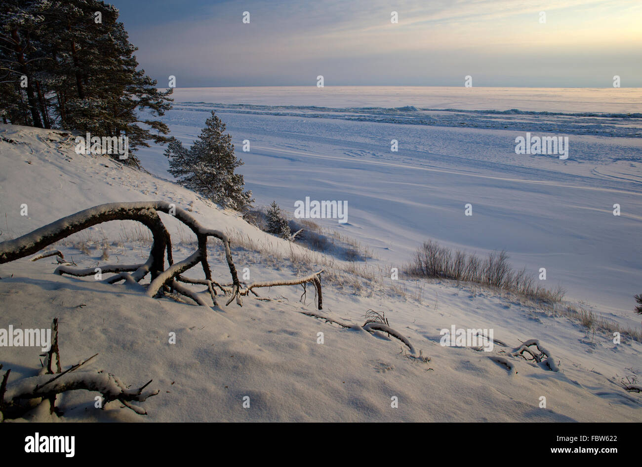 Peipussee im winter Stockfoto