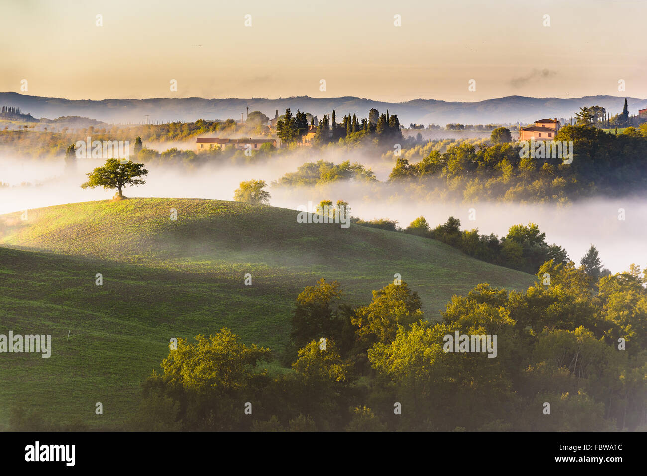 Bäume und Obstgärten auf den italienischen Feldern. Toskana Herbst Tag. Stockfoto