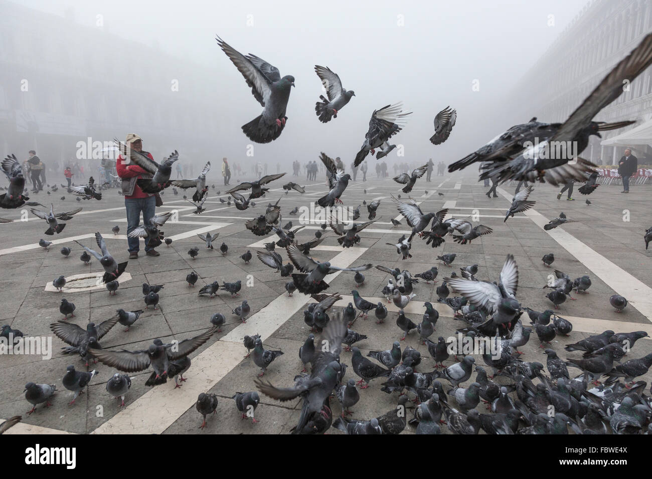 Füttern von Tauben auf dem Markusplatz, Venedig, Italien Stockfoto