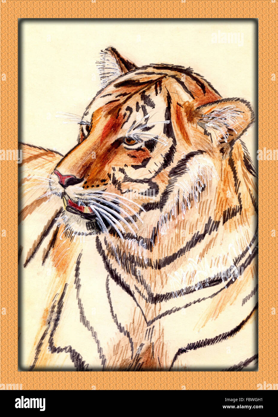 Aquarell Von Tiger Stockfotografie Alamy