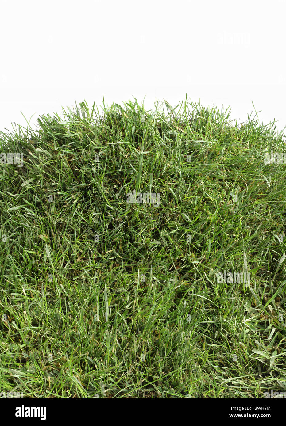 Grass-Hill-Ausschnitt Stockfoto