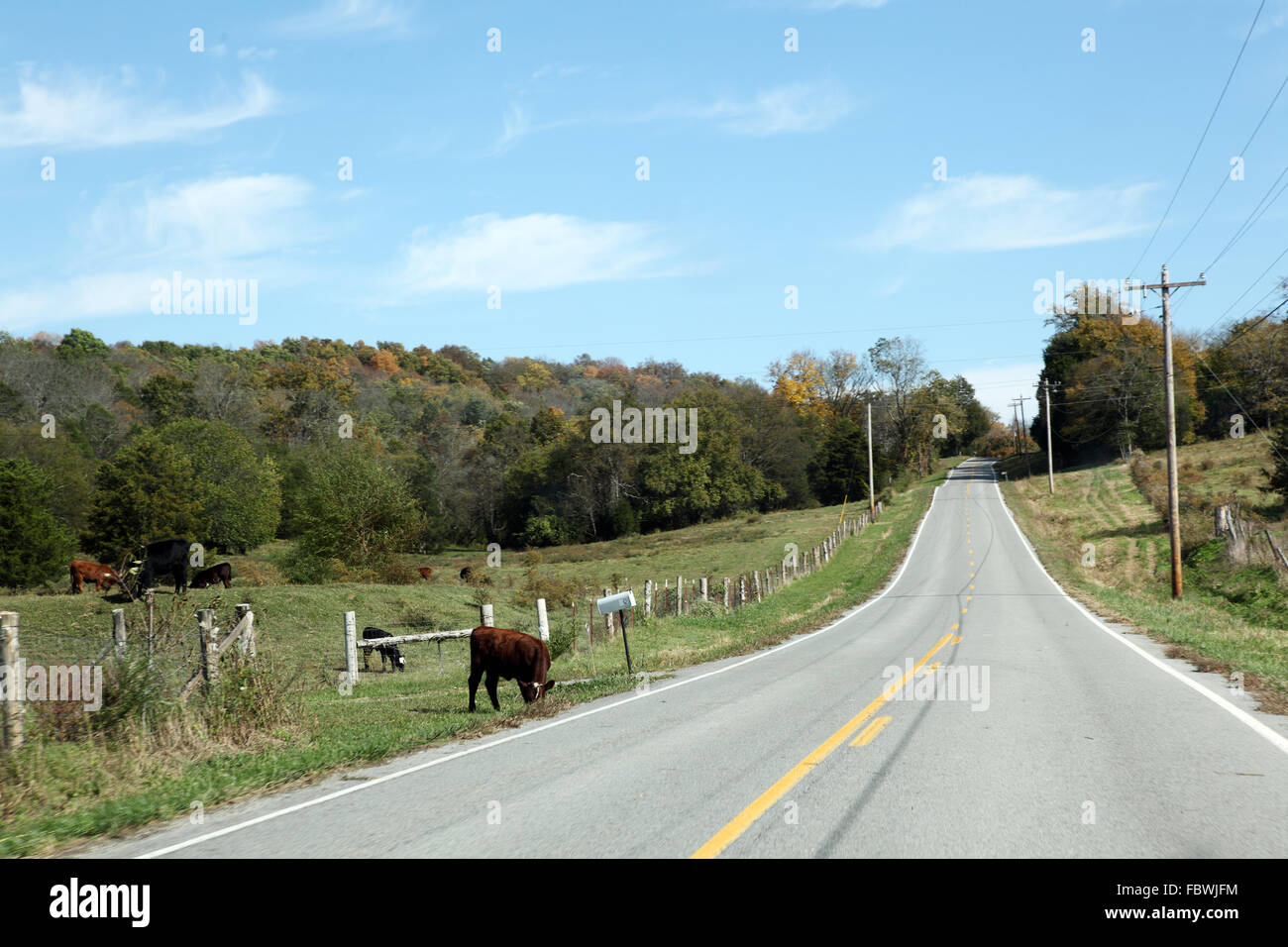 Countryroad Stockfoto
