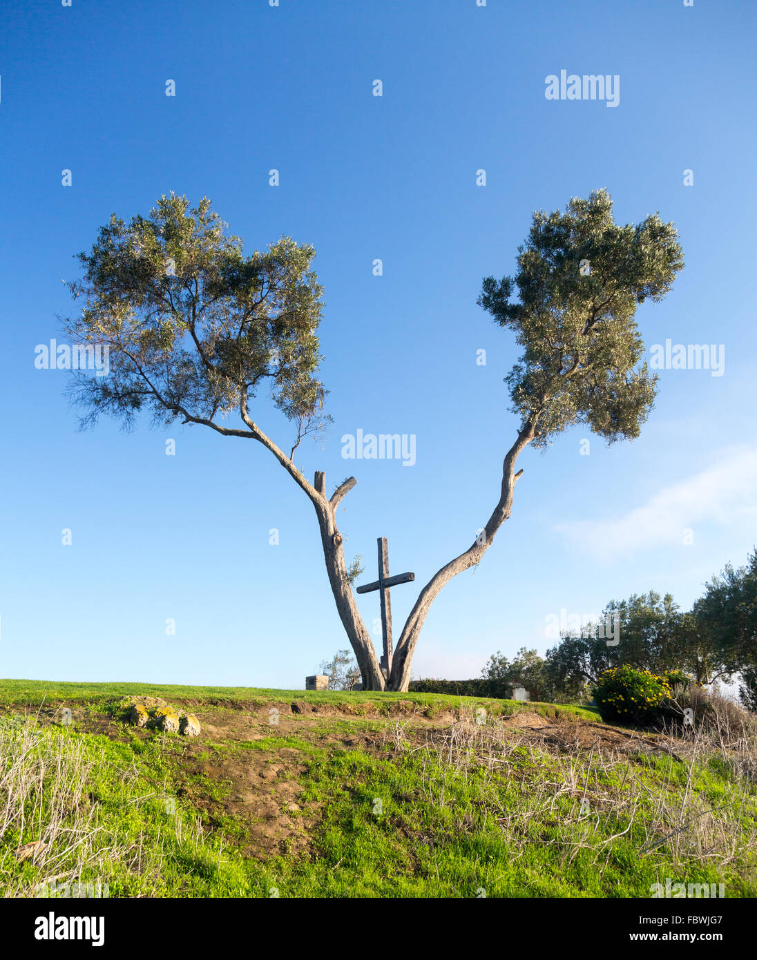Serra-Kreuz in Ventura Kalifornien zwischen Bäumen Stockfoto