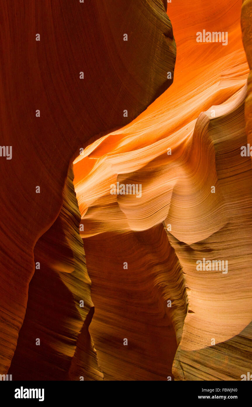 Abstrakte Formen der Antelope Canyon, Arizona, USA Stockfoto