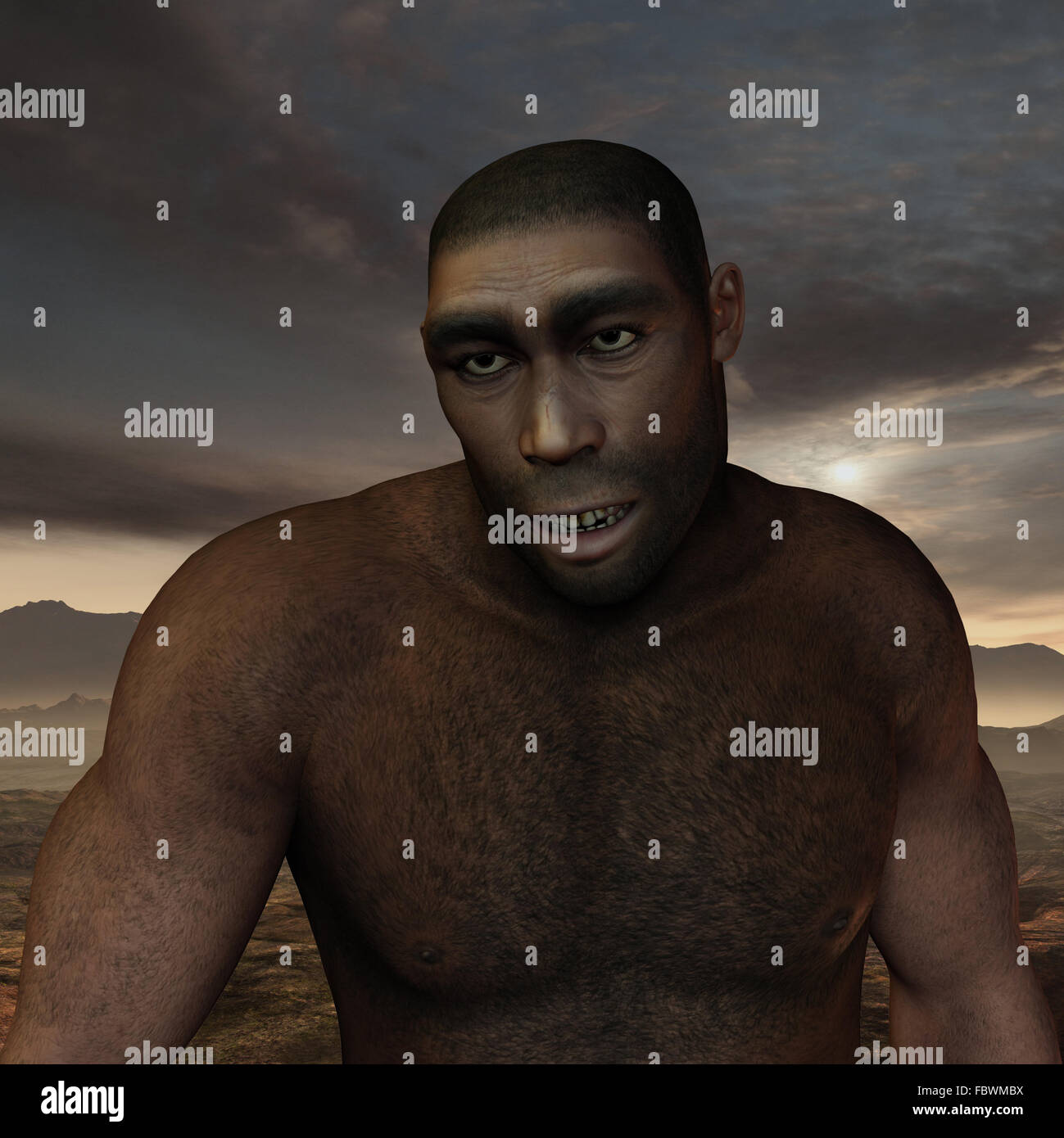 Frühe menschliche Homo erectus Stockfoto