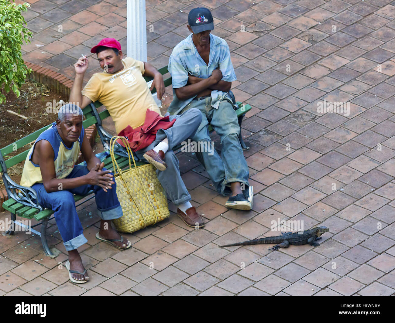 Männer und Krokodil in Trinidad Stockfoto