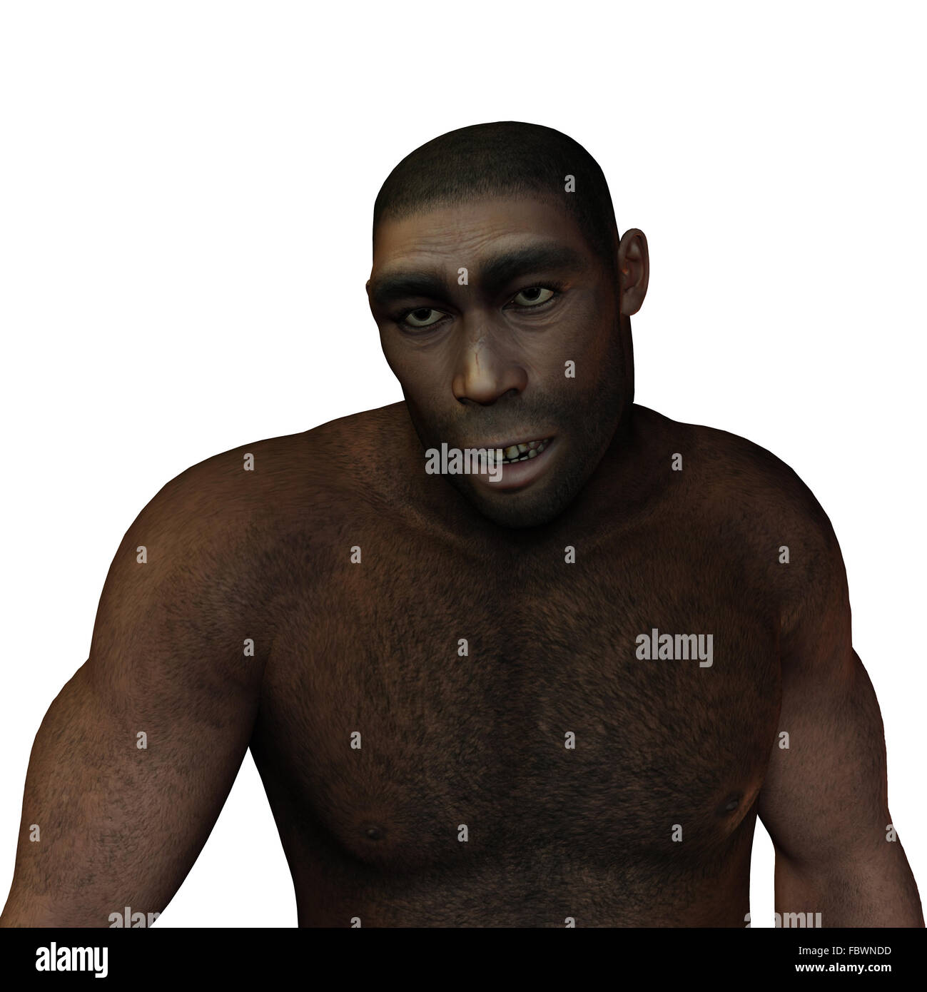 Frühe Menschen Homo erectus Stockfoto