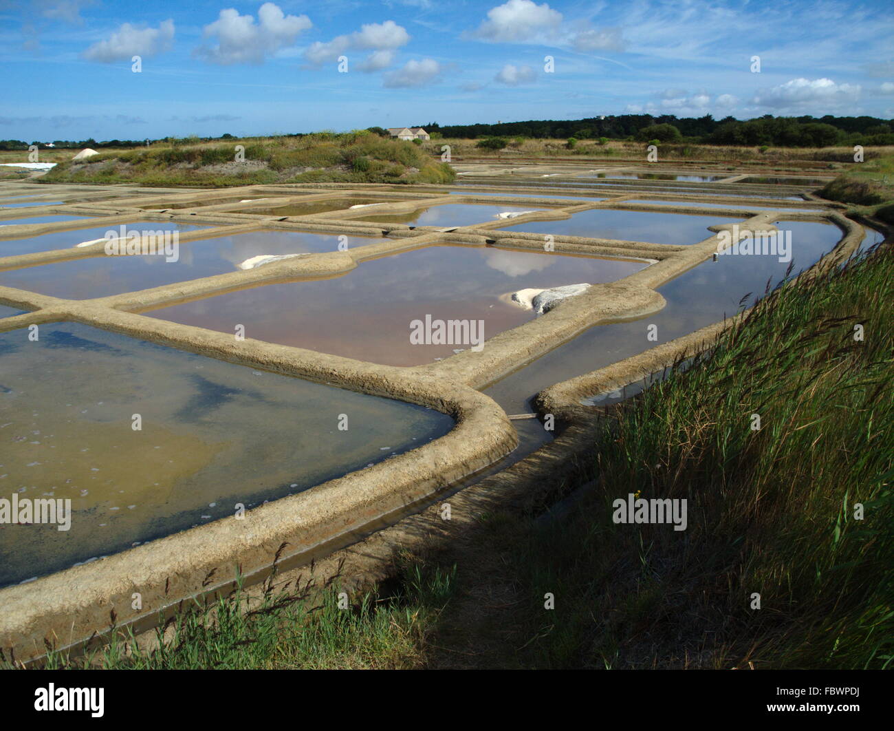 Saline Stockfoto