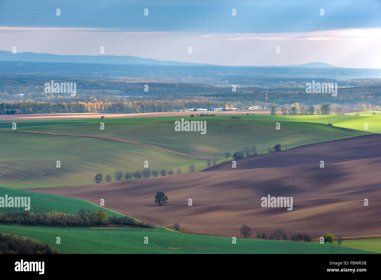 Tschechische Landschaft, Süd-Mähren. Stockfoto