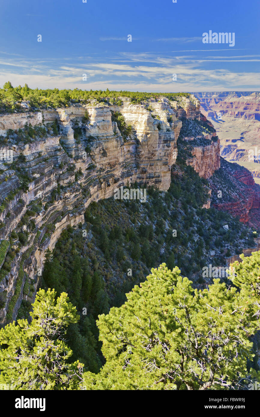 Abgrund in Grand-Canyon-Nationalpark Stockfoto