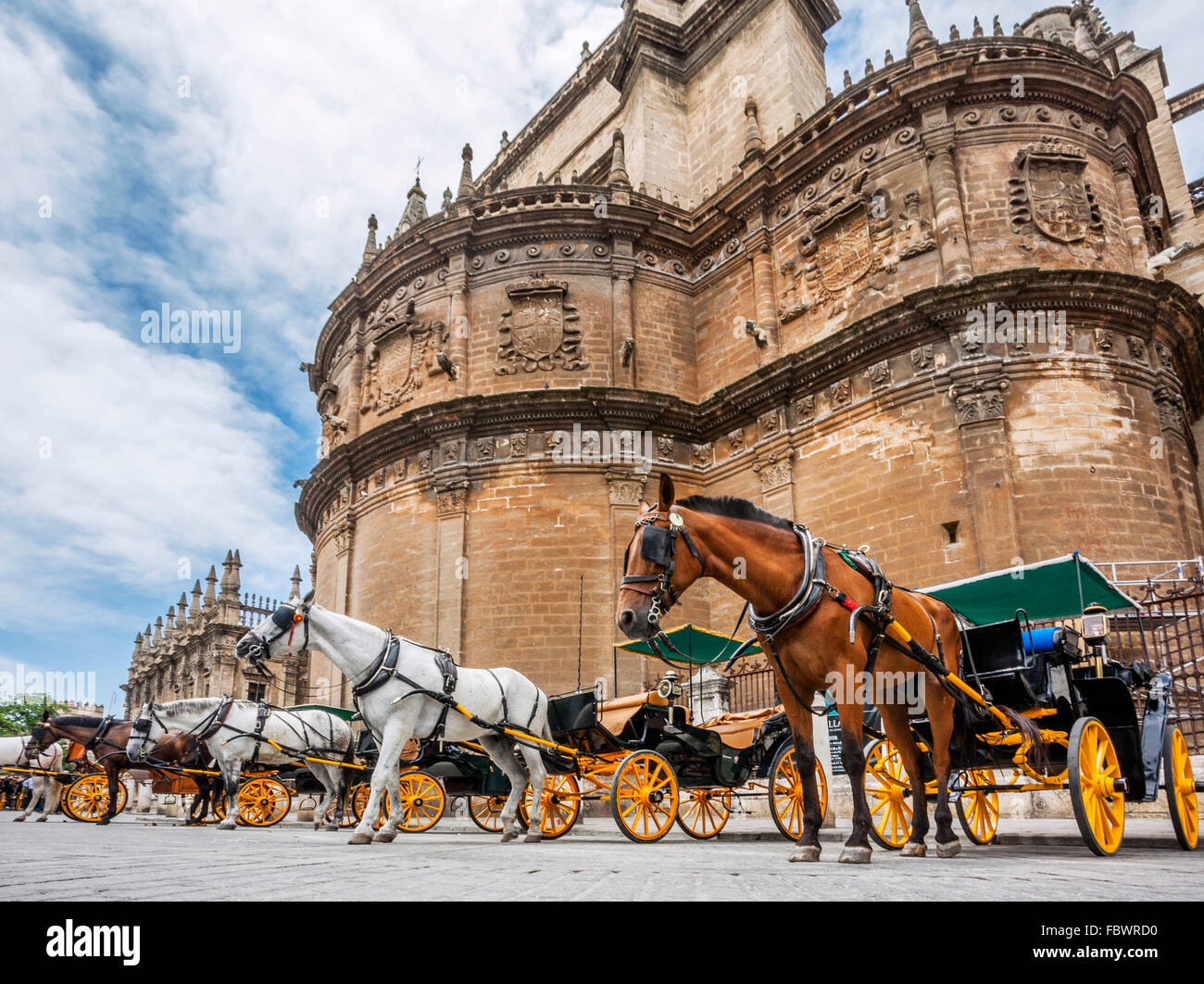 Spanien, Andalusien, Provinz Sevilla, Sevilla, Plaza Virgen de Los Reyes, Kutsche Pferde warten auf Tarife an die Kathedrale von Sevilla Stockfoto