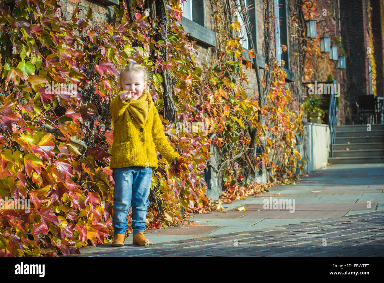 Herbstblätter als Hintergrund für ein Porträt für ein kleines Mädchen. Stockfoto