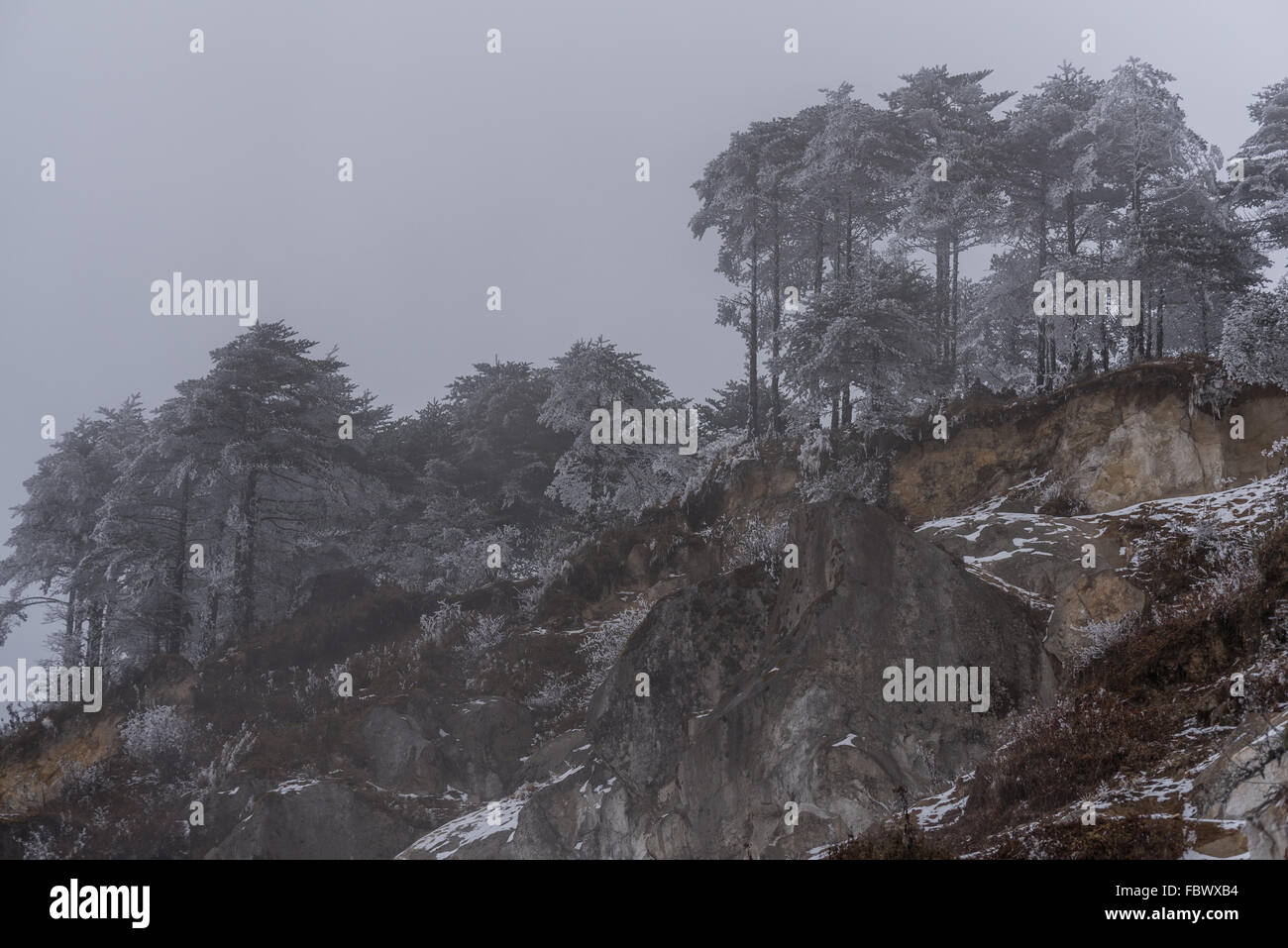 Schneebedeckte Bäume und eine gefrorene zerklüftete Landschaft. Pass in den Bergen. Indiens Lone Road von Arunachal Pradesh nach Tawang. Indien Stockfoto