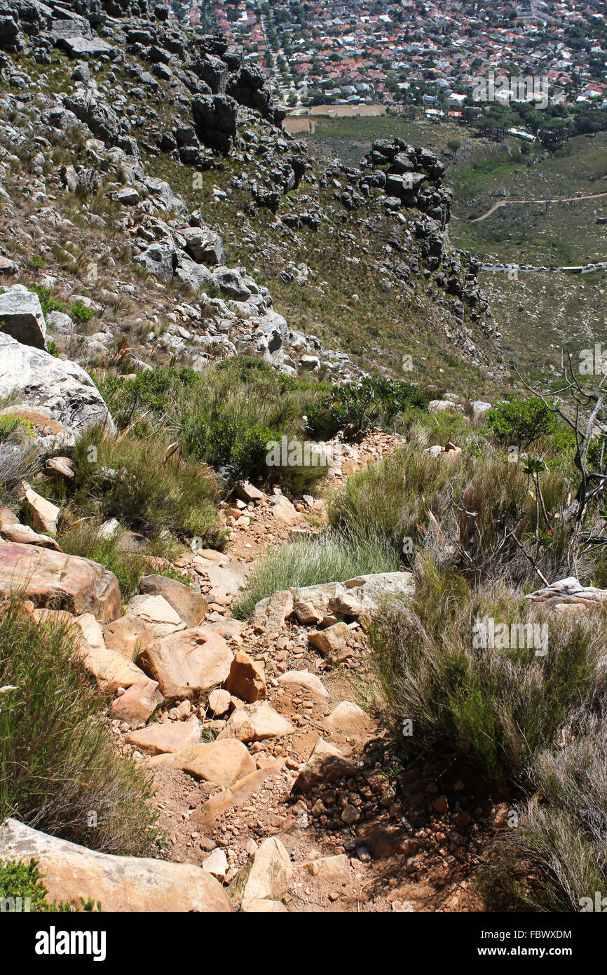 Wanderweg am Table Mountain, Südafrika Stockfoto