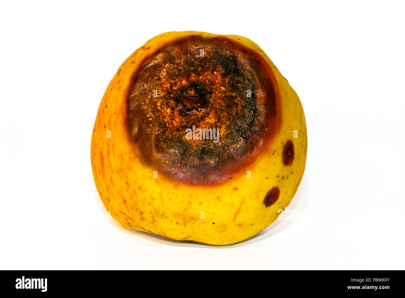 decaying fruit ausgeschnittene stockfotos und -bilder - alamy