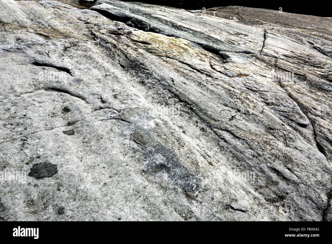 Glazial-Rillen in Granit Grundgestein, Vermächtnis der Eiszeit auf dem Gipfel des Mt. Cardigan in der Nähe von Grafton, New Hampshire. Stockfoto