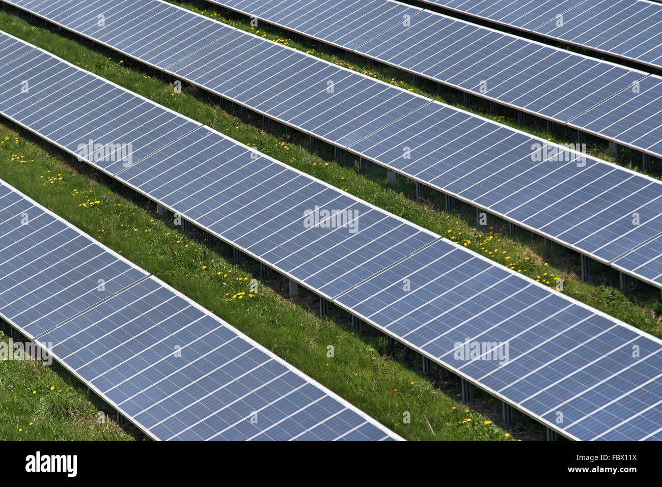 Solarfeld Stockfoto