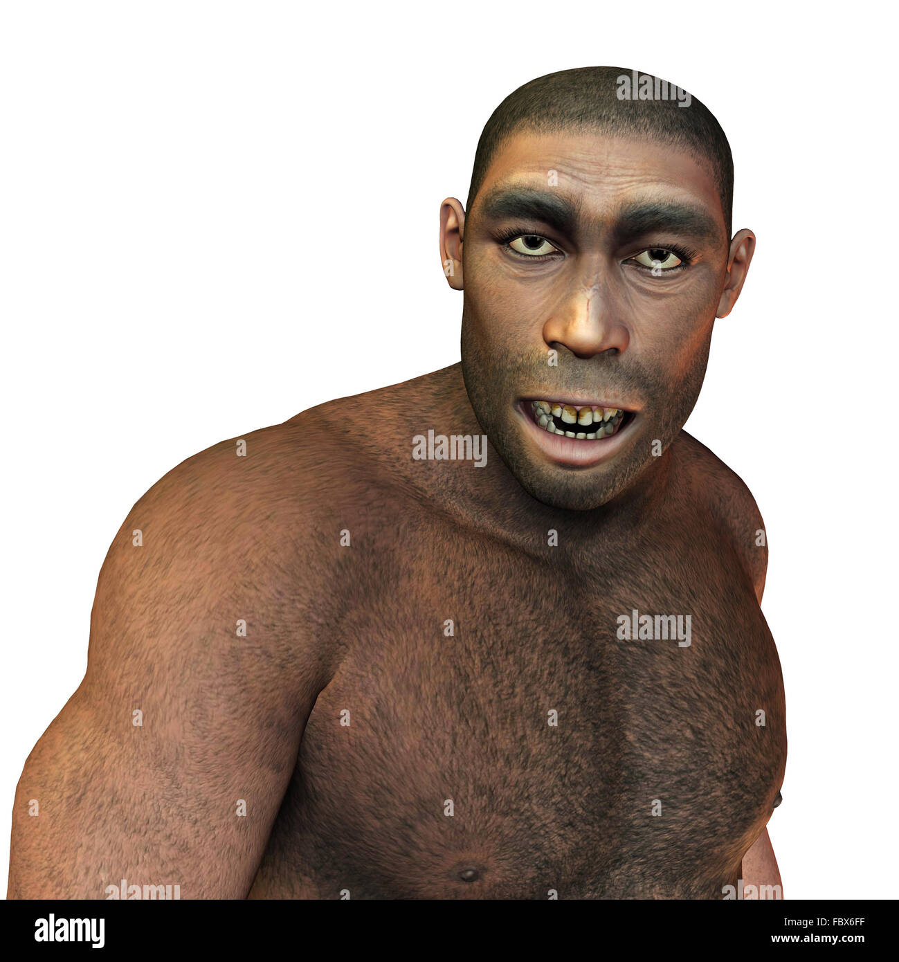 Early Man Homo erectus Stockfoto