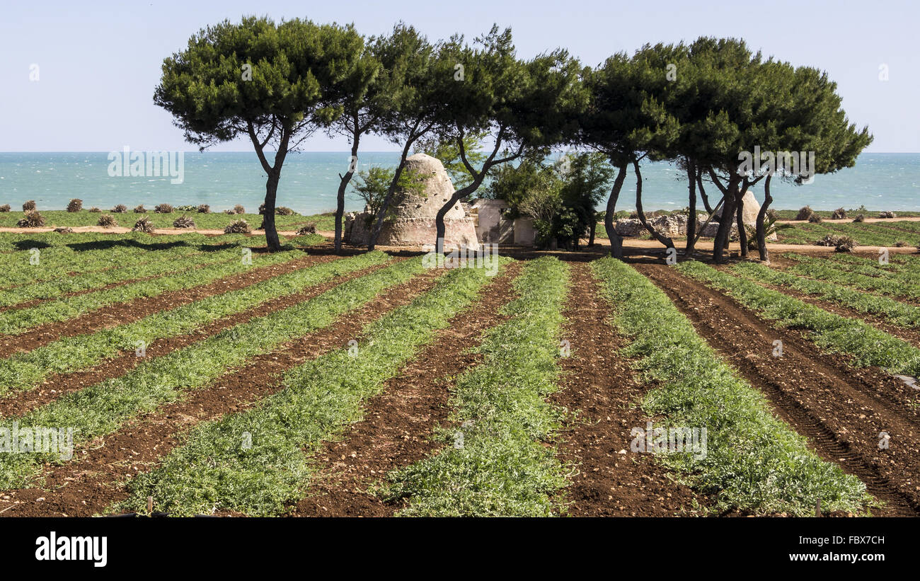 Reisen Sie Reise Apulien Puglia Stockfoto