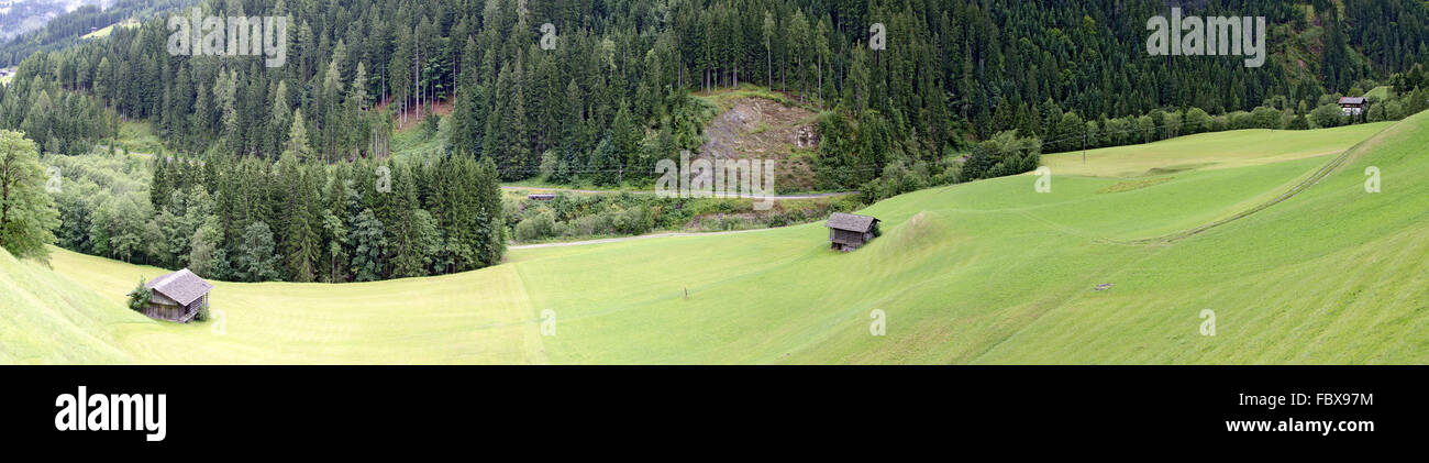 Weiden an der oberen Gailvalley Stockfoto