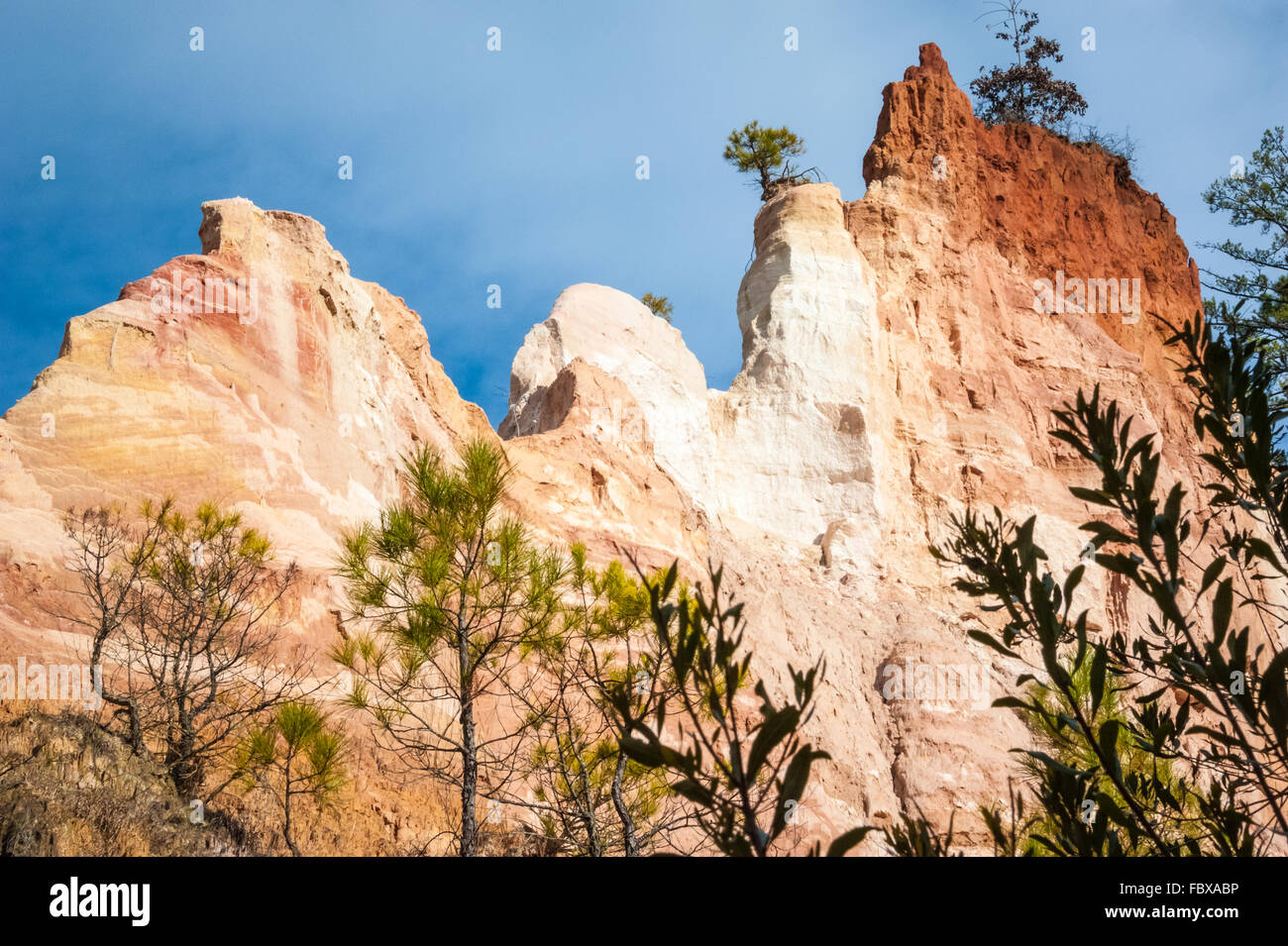 Sandsteinflossen im Providence Canyon State Park (Georgia's Little Grand Canyon) in Lumpkin, Georgia, (USA) Stockfoto