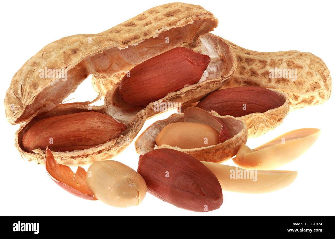 Erdnüsse-Ausschnitt Stockfoto
