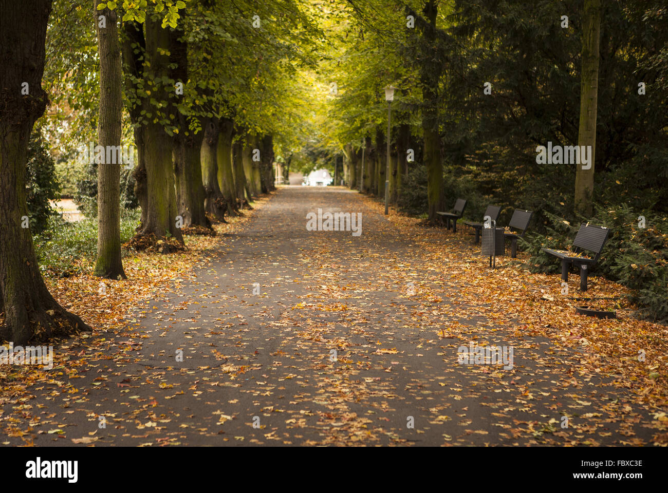 Park-Weg Stockfoto