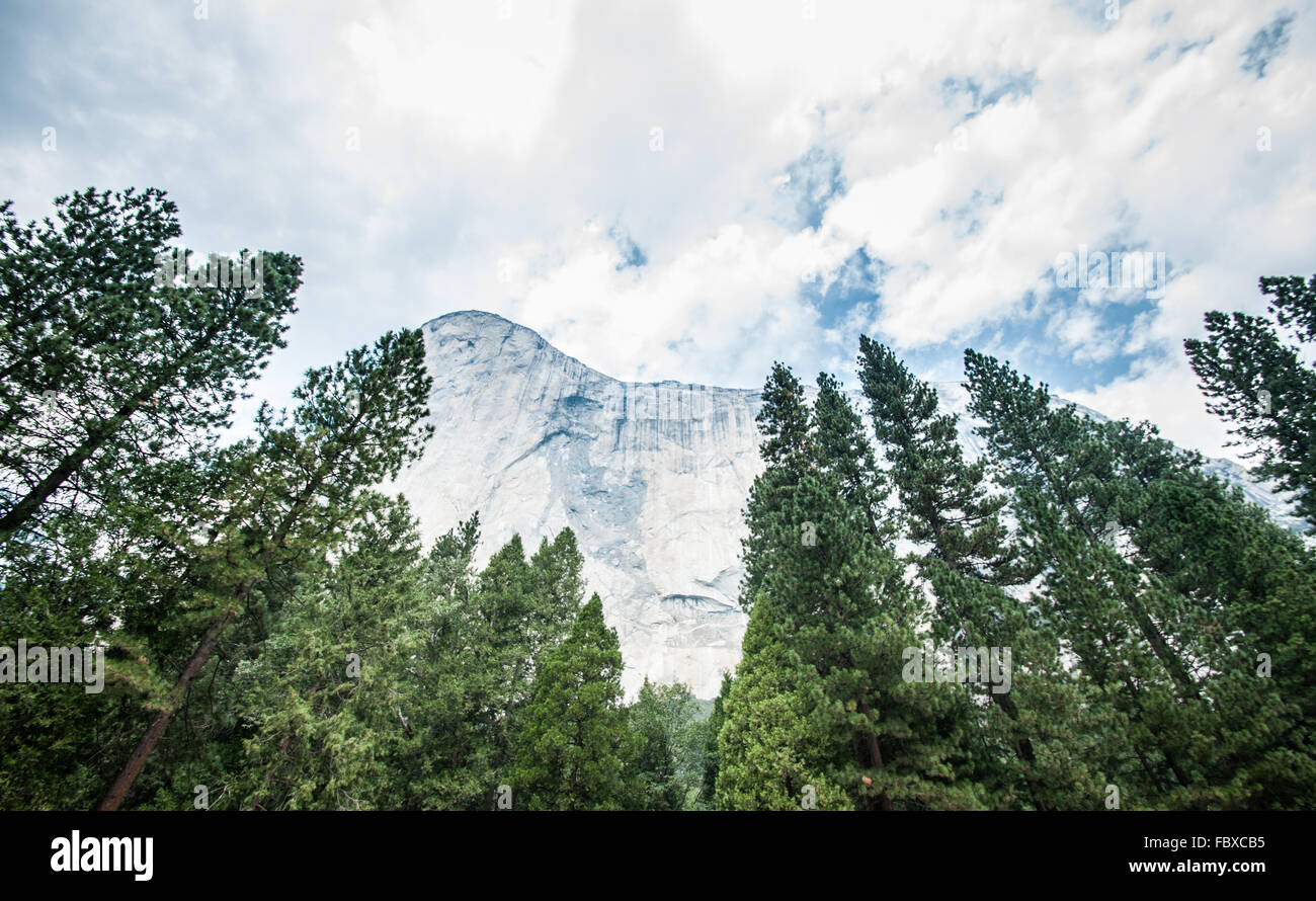 El Capitan, Yosemite Stockfoto