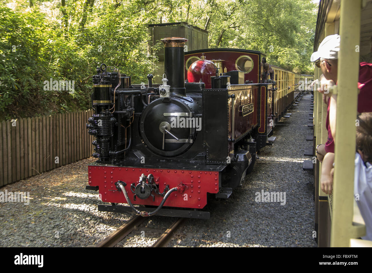 Zug-Kreuzung Stockfoto