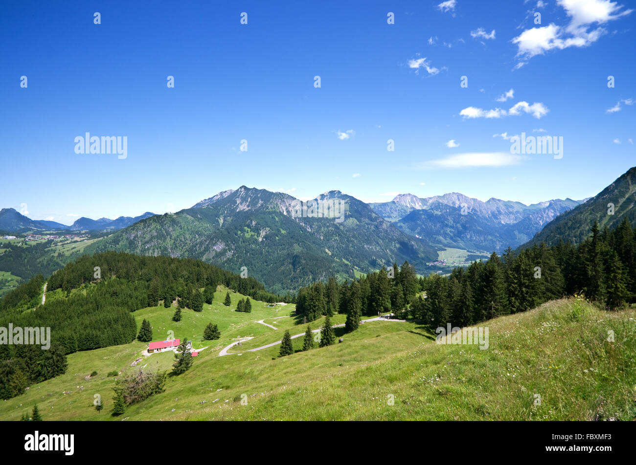 alpinen Wiese Allgäu Deutschland Stockfoto