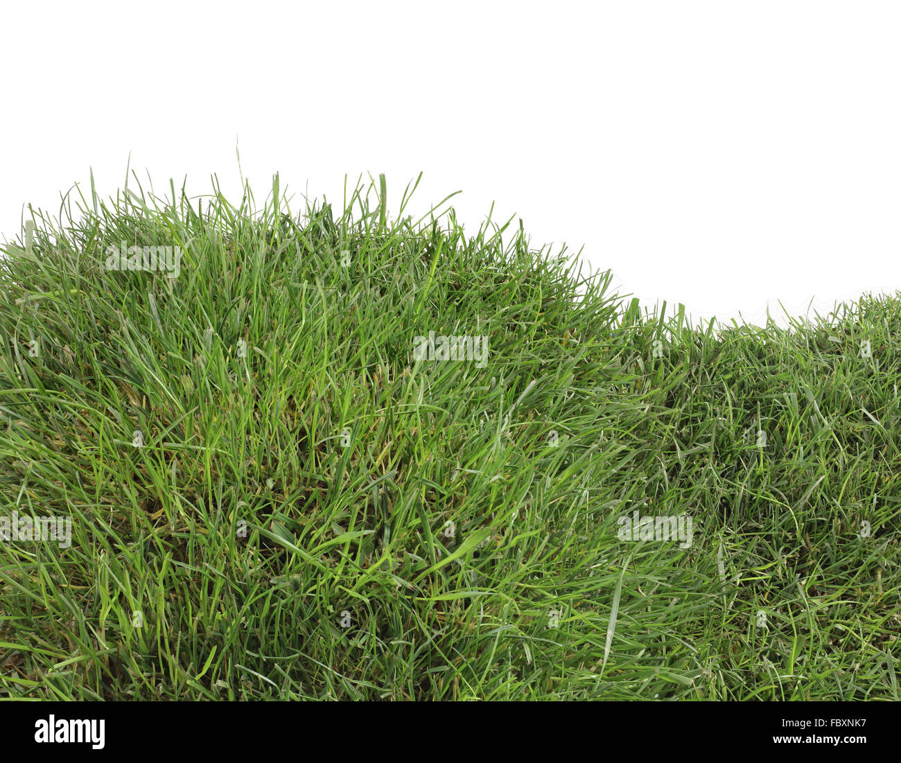 Grass-Hill-Ausschnitt Stockfoto