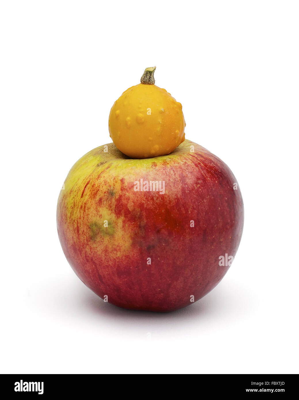 Vergleich in der Größe: Kürbis-Apfel Stockfoto