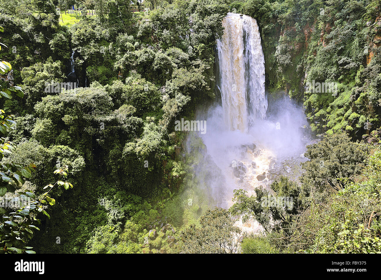 Thomsons fällt in Kenia Stockfoto