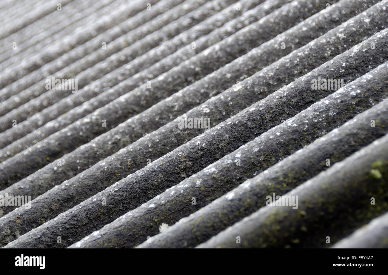 gewellten Asbest-Zement-Platten Stockfoto