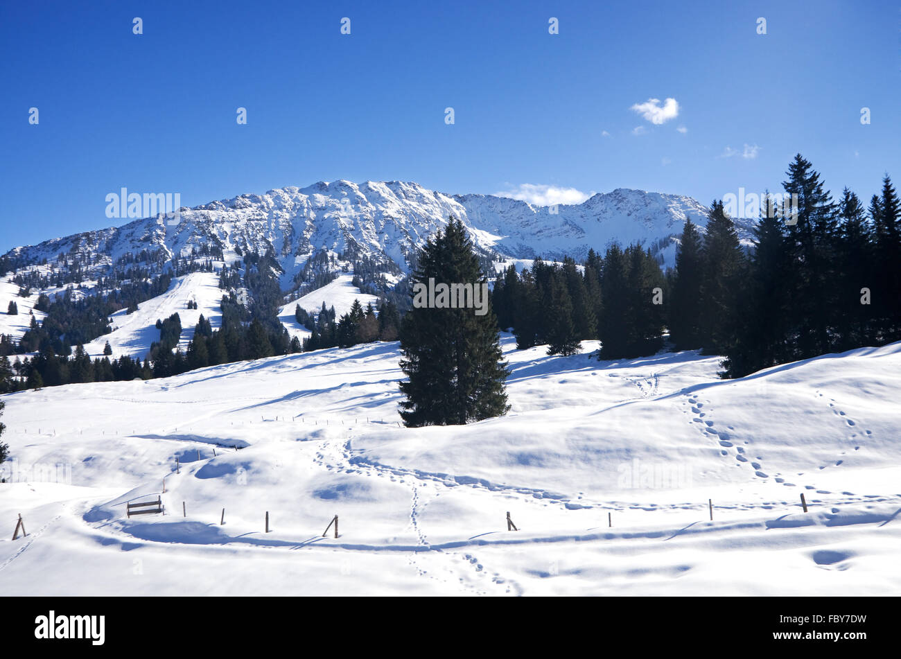 Winter im Allgäu Stockfoto