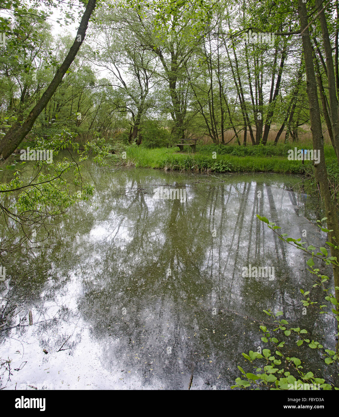 Lebensraum teich Fotos und Bildmaterial in hoher Auflösung Alamy