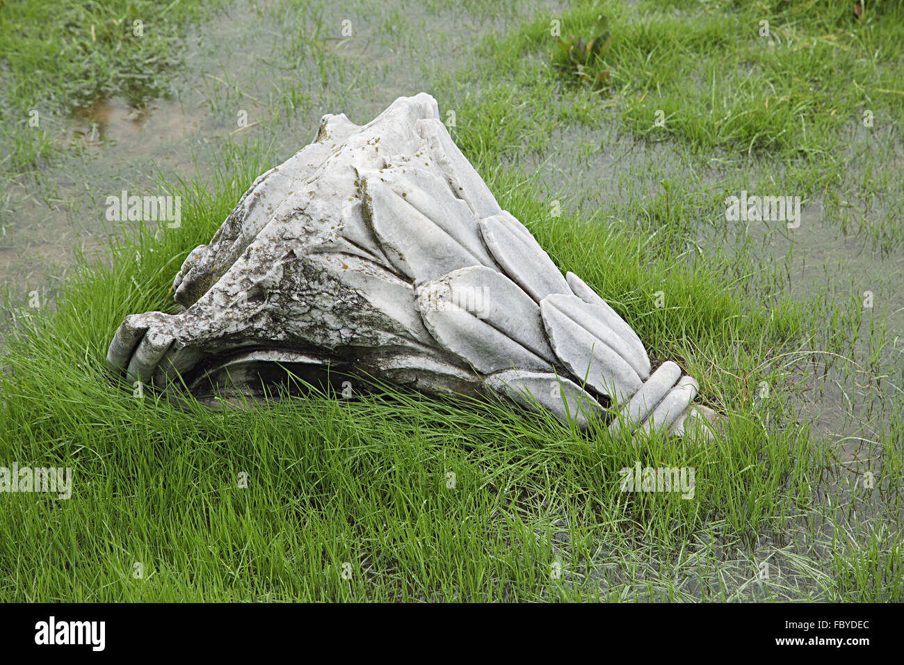 Ruinen antiker Spalte an einem regnerischen Tag Stockfoto