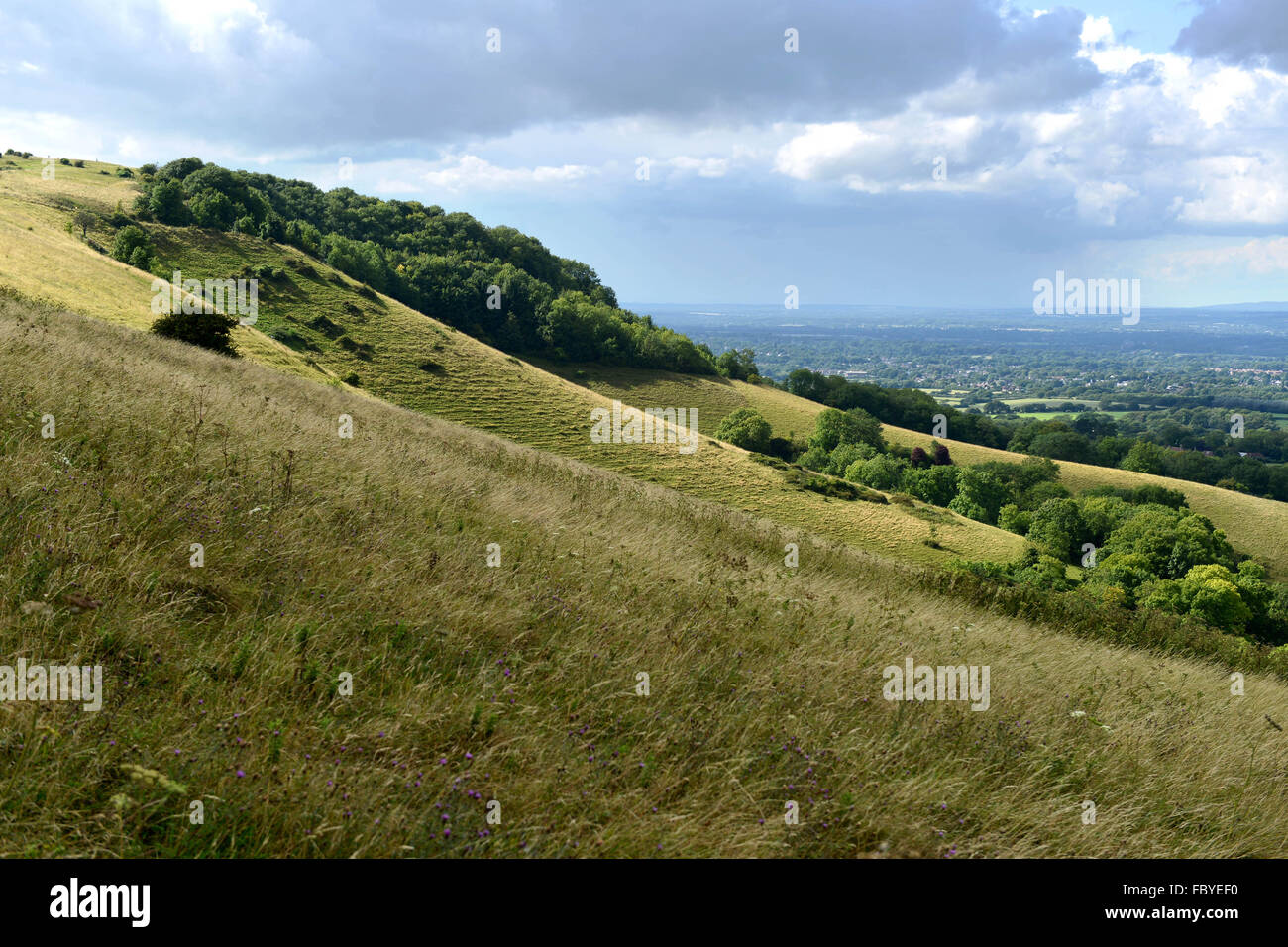 Ditchling Beacon, South Downs National Park, UK Stockfoto