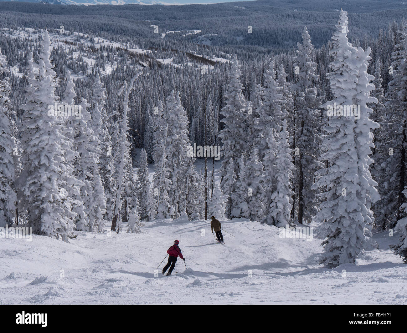 Skifahrer steigen die Pfanne Trail, Morningside Park, Steamboat Ski Resort, Steamboat Springs, Colorado. Stockfoto