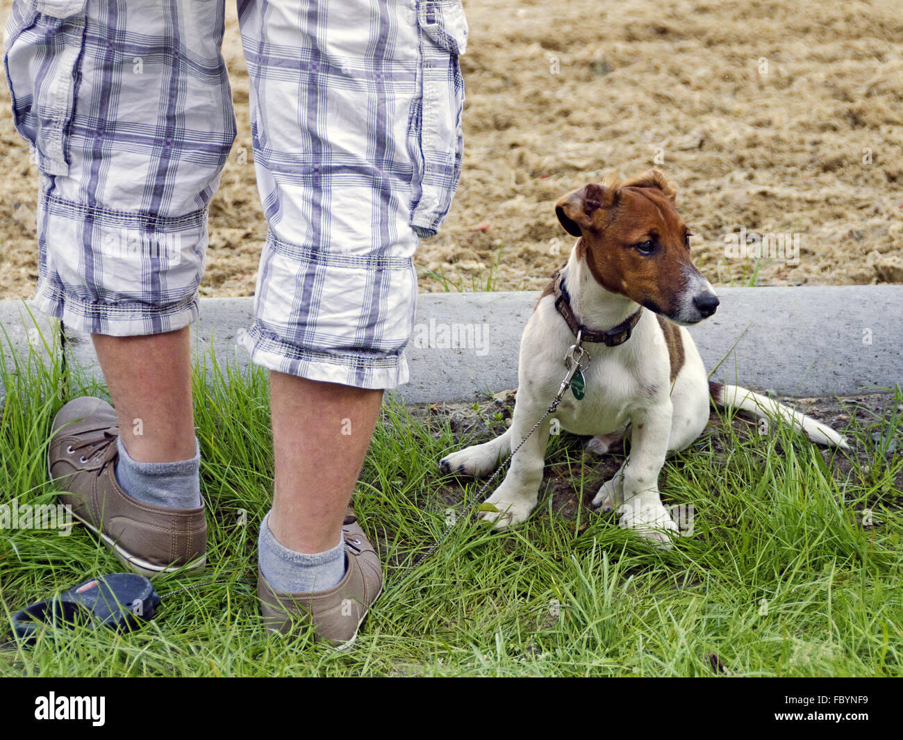Füße stehen auf der Spitze eines jungen Hundes Stockfoto