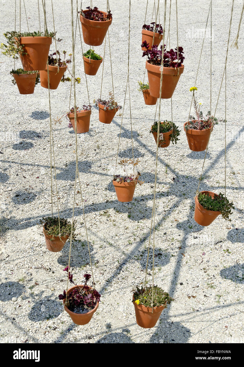 Steingarten Pflanzen hängen Schnüre Stockfoto