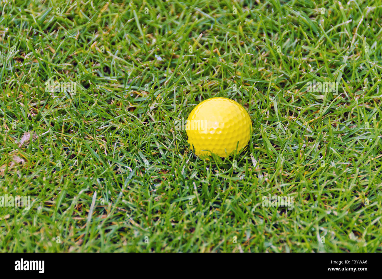 gelber Golfball auf grünen Rasen Stockfoto