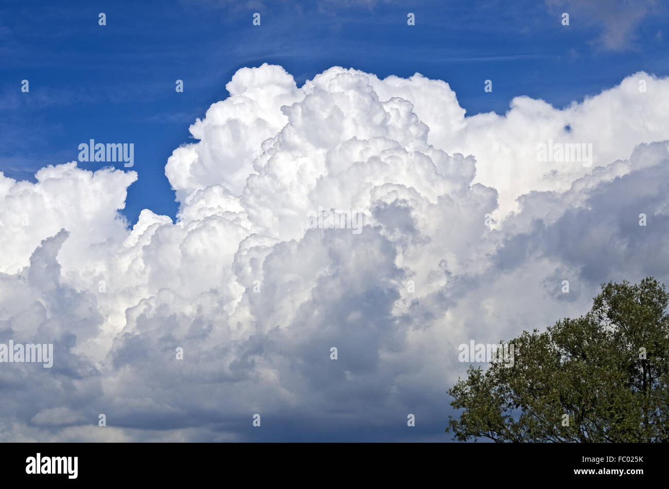 Aufstand-Wolke thront auf einem blauen Himmel Stockfoto