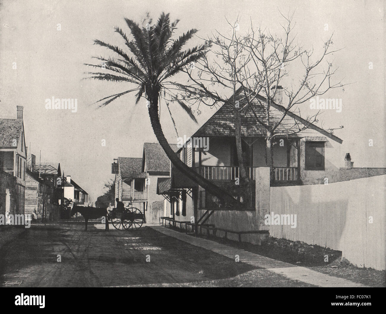 ST. AUGUSTINE. St. Francis Street. Florida, antiken Druck 1895 Stockfoto