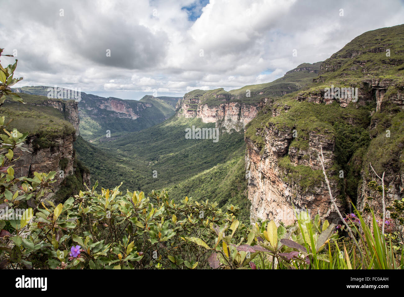 Chapada Diamantina National Parc/Vale Do Pati Stockfotografie Alamy
